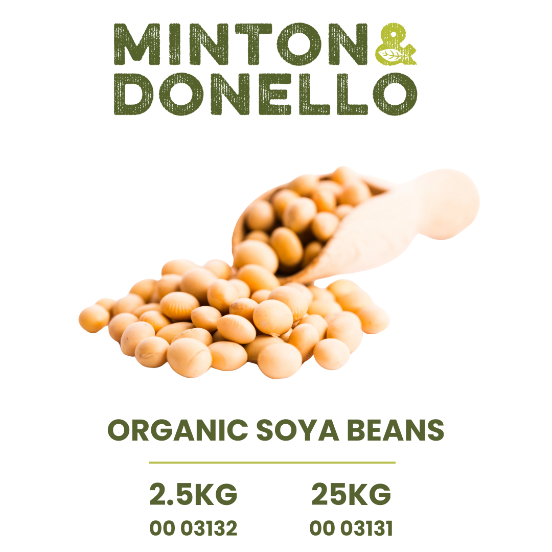 ORGANIC_SOYA_BEANS