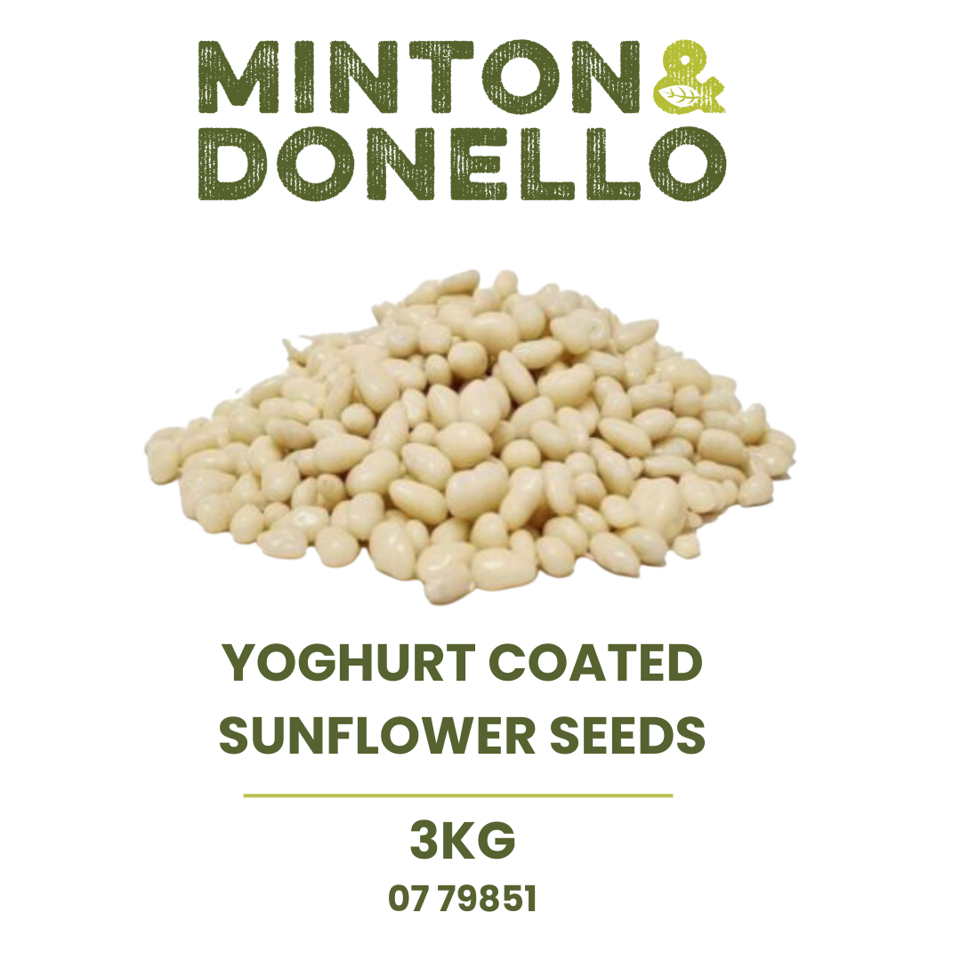 YOGHURT_COATED_SUNFLOWER_SEEDS