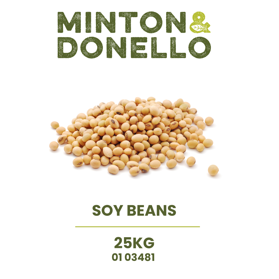 SOY_BEANS